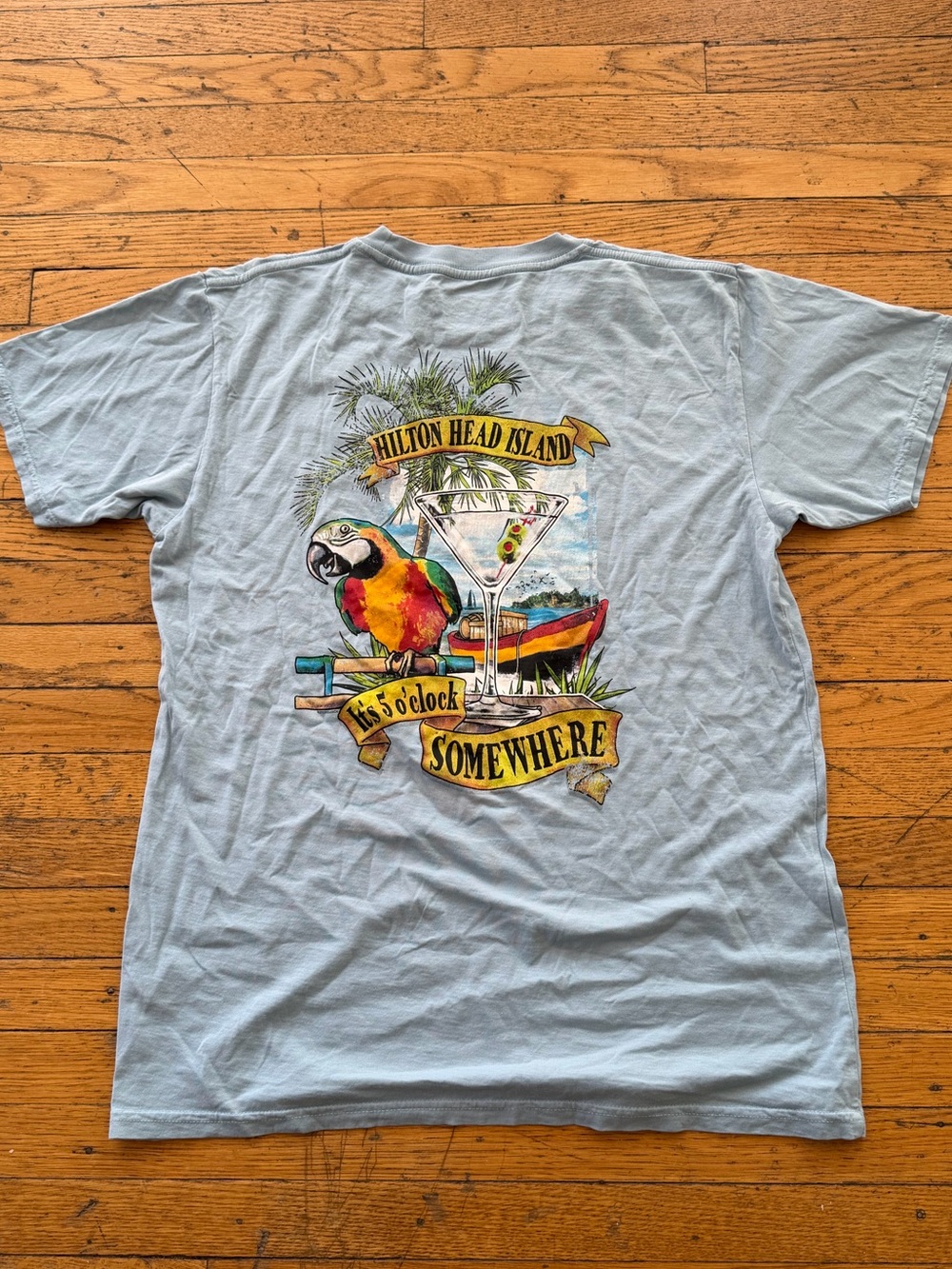 Size medium Hilton Head Island Light Blue Men’s Swim T-Shirt – Parrot Graphic